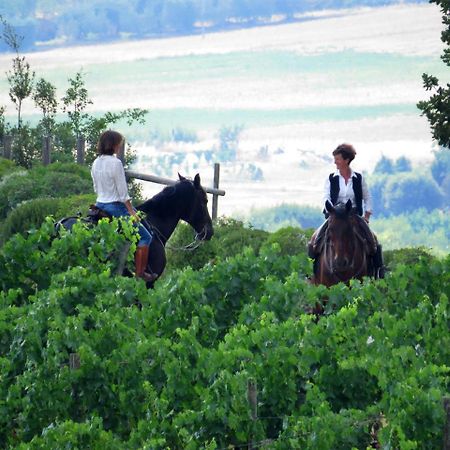 Castello Banfi - Il Borgo - Relais Et Chateaux Hotel Poggio alle Mura Екстериор снимка